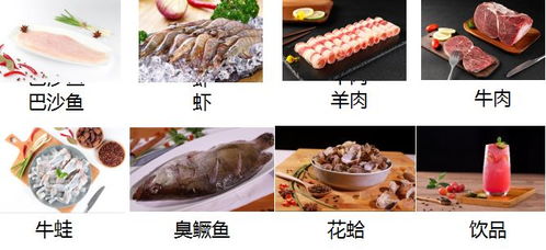 400多家河北餐饮老板直采,6企业联合产品发布 这场大会凭什么这么火